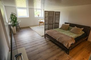 Brand New Apartment with Pool and Amazing View - Rothrist - 8