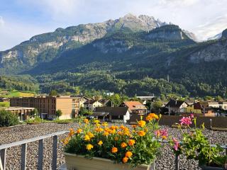 Premium Apartments - central & historical - Meiringen - 0
