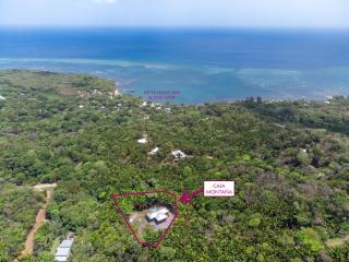 Mountain House Palmetto Bay with Private Pool - 3