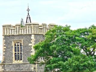 Rooftops - Quiet Cosy Pied-à-terre in the heart of Colchester - Colchester - 1
