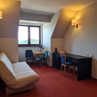 Ski Hotel - Piwniczna-Zdrój - 8