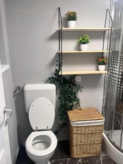 Soba MIHA 2 - Kutina - 1