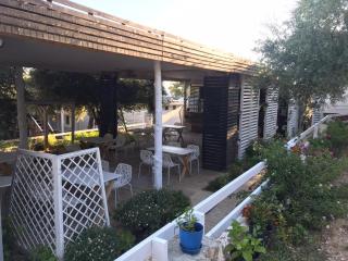 Albanian Garden - 7