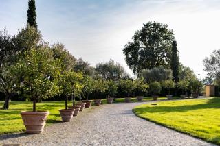 Cascina Bonina - Vigliano Biellese - 9