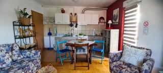 Dina cozy apartment - Zemun - 5