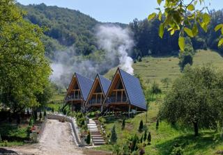A-Frame Bella - Zăvoi - 0