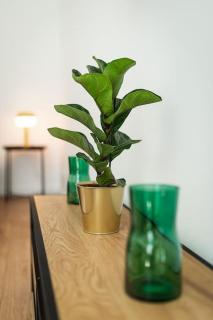 Hugo apartmán - Prague - 5