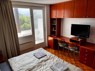 Lakeside Bled - 7