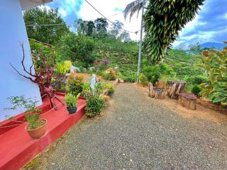 Rohitha guest Villa - 5