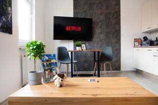 Ilmpartment Deluxe Suite - Vollausstattung - Boxspringbett - Wi-Fi - Netflix - Ilmenau - 8