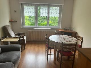 Superbe maison 3 chambres 1 étage et sous-sol, avec jardin et terrasse - Altkirch - 7