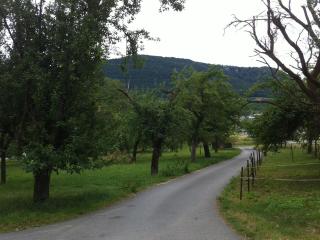 Ferienwohnung Heike - Dettingen an der Erms - 4