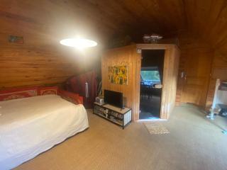 chambre spacieuse avec sauna - Vern-sur-Seiche - 4