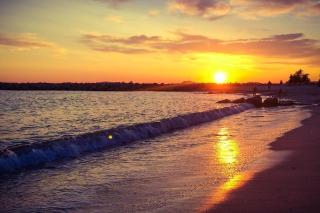 T2 Plage Prado-David, Parc Borély, Parking Privée - Marsiglia - 5
