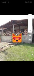 Girassol - Gravatá - 2