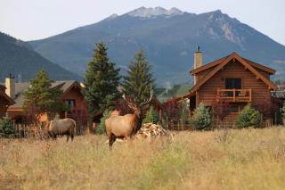 Chic Retreat Indoor Outdoor Fireplace, Private Jacuzzi, Great Location! - Estes Park - 7
