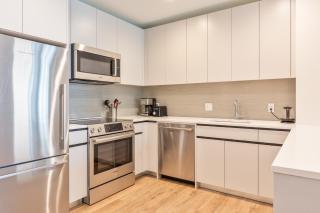Luxury Apt with Kitchen and Pool - Boston - 8