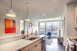 New Luxury Apt Downtown with Pool - 7
