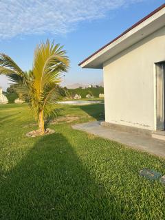 Fundo GHANDY ALLIZON - 9