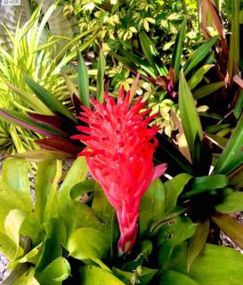 Pool View, One Bedroom Walk To Beach Daily Rentals - 4