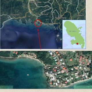 Appartement à Anse Mabouya en rez de jardin avec piscine à proximité des plages - Sainte-Luce - 1