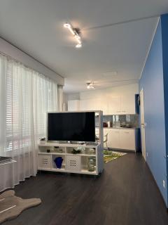 LuganoApartment - 7