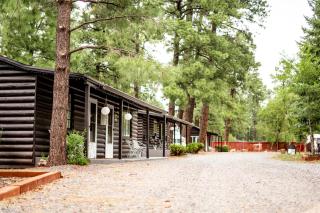 Corduroy Lodge - Pinetop-Lakeside - 4