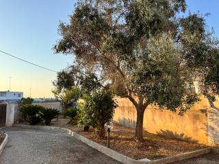 Casa Vacanze DAMA del Salento - San Cataldo - 1