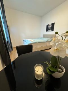 City Ferien Wohnungen 1 - Rosenheim - 1