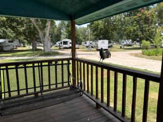 Turn On Inn - Lake Village - 1