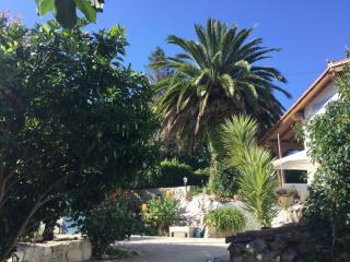 Casa Jardín Rocablanca Llanes - 1