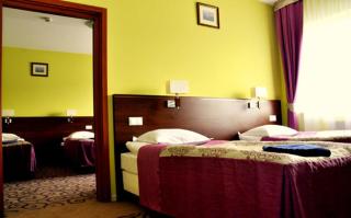 Hotel Villa Verde Congress & Spa - Zawiercie Nowe - 7