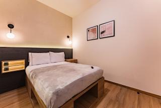 The Boutique Suites 187 by VH - Mexiko-Stadt - 4