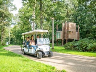 Belvilla Dreamy Retreat in Nature - - 4