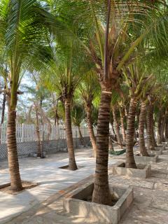 Việt Hương Hotel - Tuy Phong - 1