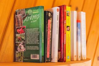 Le Paresseux - flanc de montagne - vue imprenable sur le lac - 9