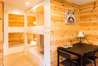 Le Paresseux - flanc de montagne - vue imprenable sur le lac - 8