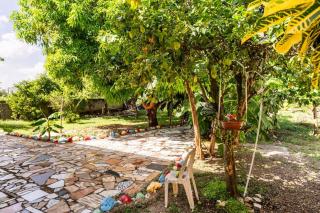 Casa para vacacionar - El patio de Olivia - 3