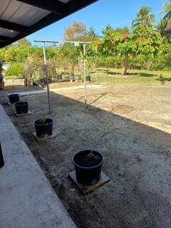 VILLA VAIROARII - Garden & private beach - 7