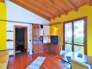 Delightful apartment in Bosco with terrace - Montegrino Valtravaglia - 1