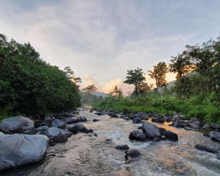 Darmada Eco Resort - 1