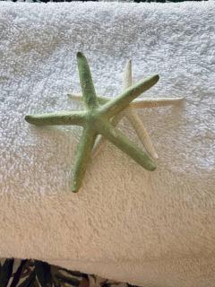 Scarlets by the Sea - In the heart of town, Views & Pet friendly - Bermagui - 9