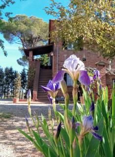 Agriturismo La Terra - Valiano - 6