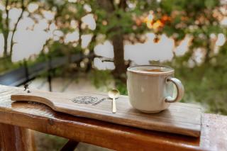 Chobe House Villa and Chalets - 1