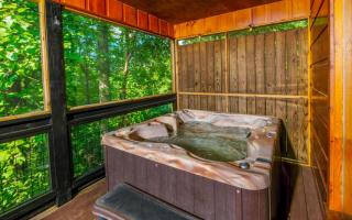 A Bearcation - Gatlinburg - 7