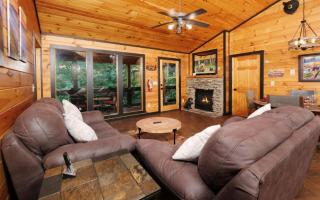 A Bearcation - Gatlinburg - 1