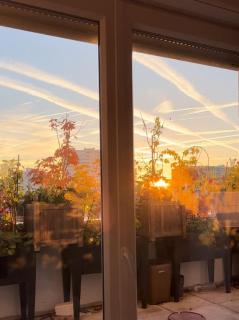 Les Jardins de Babylone de Bezons à 14 min de Paris - 9