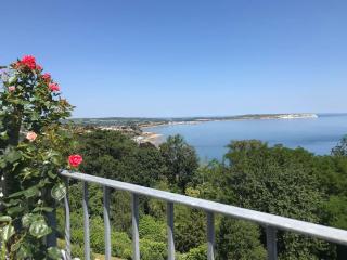 Isle of Wight Seaview - 1