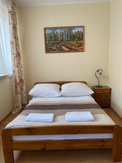Pokoje Sylwia z aneksami kuchennymi w każdym pokoju - Ustroń - 2