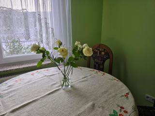 At Granny's - Maribor - 1